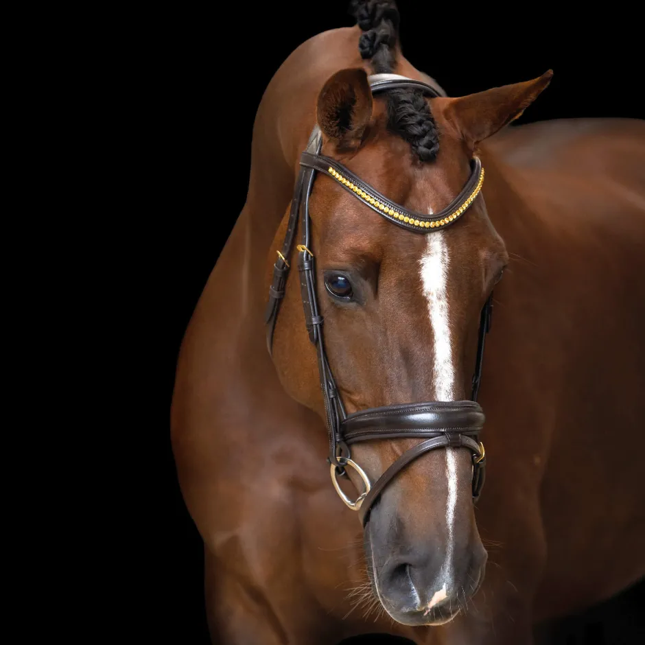 IMPERIAL RIDING Zaumzeug IRH einfache kombinierte Nasenriemen