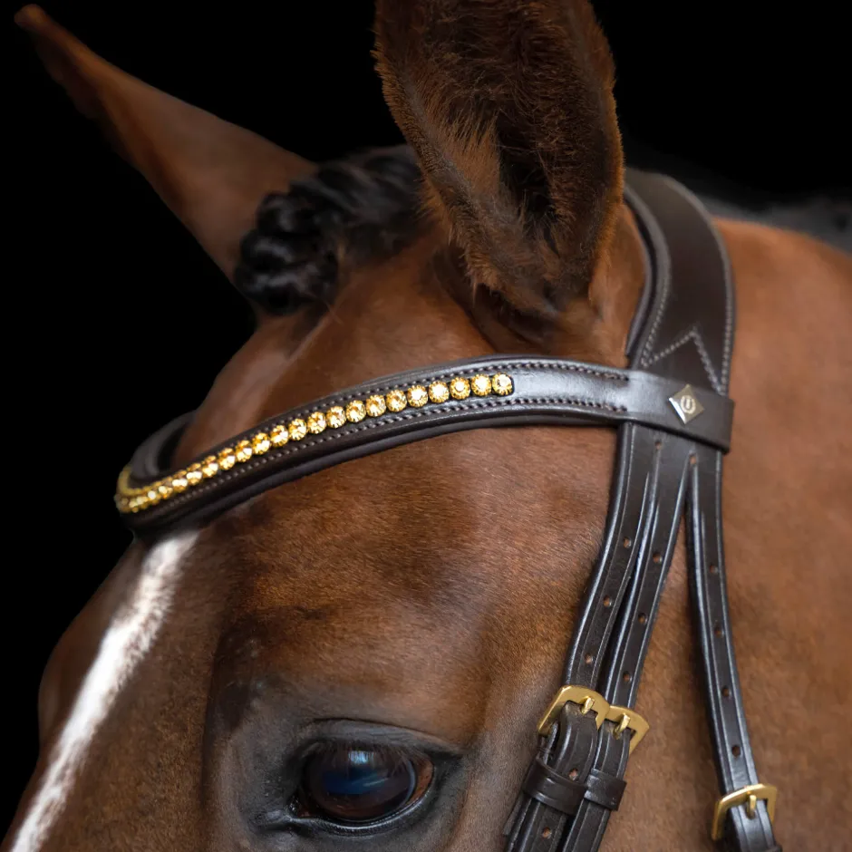 IMPERIAL RIDING Zaumzeug IRH einfache kombinierte Nasenriemen