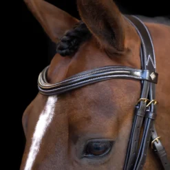IMPERIAL RIDING Zaumzeug IRH mit gebogener englischer Nasenriemen