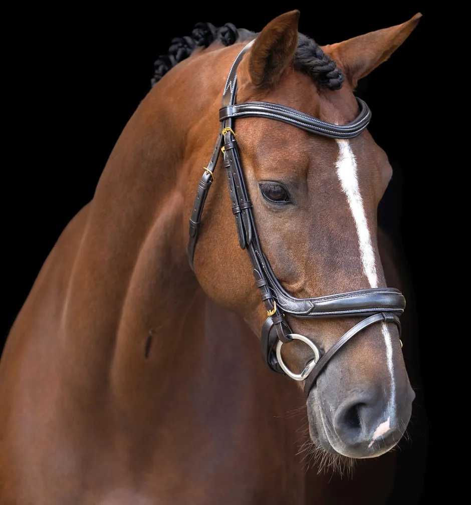 IMPERIAL RIDING Zaumzeug IRH mit gebogener englischer Nasenriemen