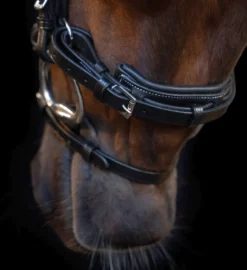 IMPERIAL RIDING Zaumzeug IRH mit gebogener englischer Nasenriemen