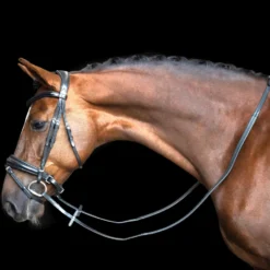 IMPERIAL RIDING Zügel IRH Gummi mit Nyloneinlage