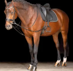 IMPERIAL RIDING Zügel Triangle IRHCore