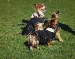Je taime EQUITHÈME Hundedecke