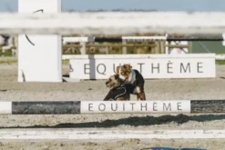 Je taime EQUITHÈME Hundedecke
