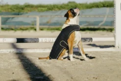 Je taime EQUITHÈME Hundedecke