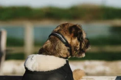Je taime EQUITHÈME Hundedecke