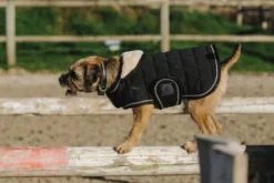 Je taime EQUITHÈME Hundedecke