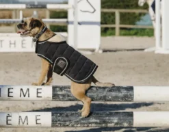 Je taime EQUITHÈME Hundedecke