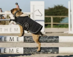 Je taime EQUITHÈME Hundedecke