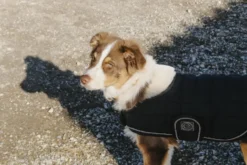 Je taime EQUITHÈME Hundedecke