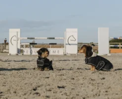 Je taime EQUITHÈME Hundedecke