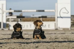 Je taime EQUITHÈME Hundedecke