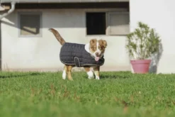 Je taime EQUITHÈME Hundedecke