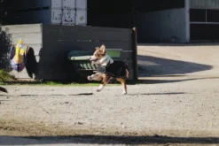 Je taime EQUITHÈME Hundedecke