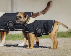 Je taime EQUITHÈME Hundedecke