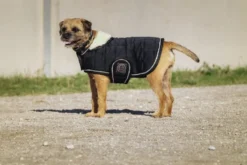 Je taime EQUITHÈME Hundedecke