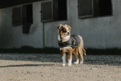 Je taime EQUITHÈME Hundedecke