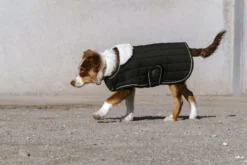 Je taime EQUITHÈME Hundedecke
