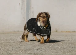 Je taime EQUITHÈME Hundedecke