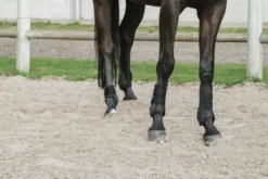 Je taime EQUITHÈME Gamaschen und Streichkappen Set