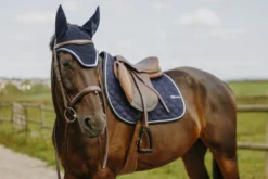 Je taime EQUITHÈME - Mirror - Schabracken