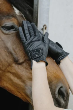 Je taime EQUITHÈME - Strass - Reithandschuhe