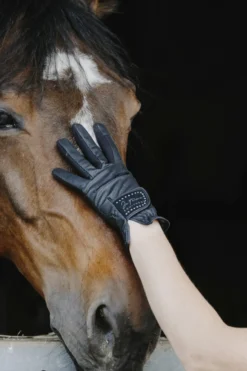 Je taime EQUITHÈME - Strass - Reithandschuhe