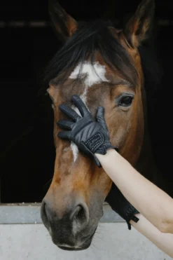 Je taime EQUITHÈME - Strass - Reithandschuhe