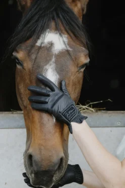 Je taime EQUITHÈME - Strass - Reithandschuhe