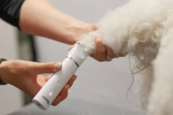 KERBL Akku-Multitrimmer 4in1