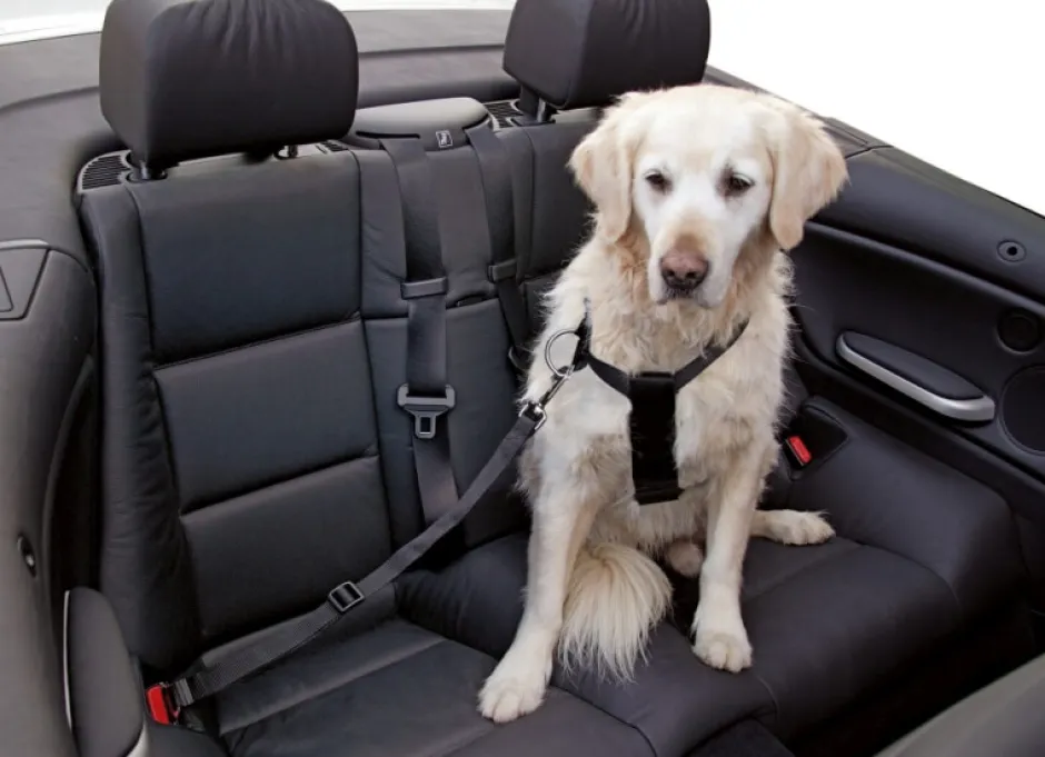 KERBL Autohundegeschirr