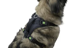 KERBL Hundegeschirr Pulsive