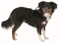 KERBL Hundegeschirr Pulsive