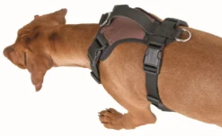 KERBL Hundegeschirr Pulsive