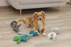 KERBL Hundespielzeug Expand