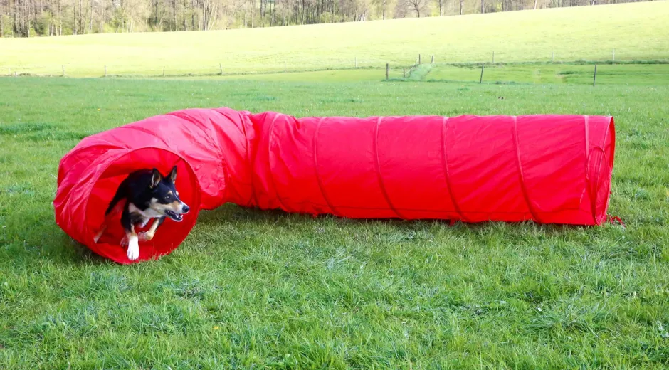 KERBL Hundetunnel Agility