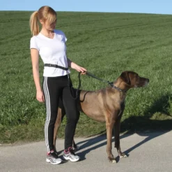 KERBL Joggingleine Active mit Hüftgurt
