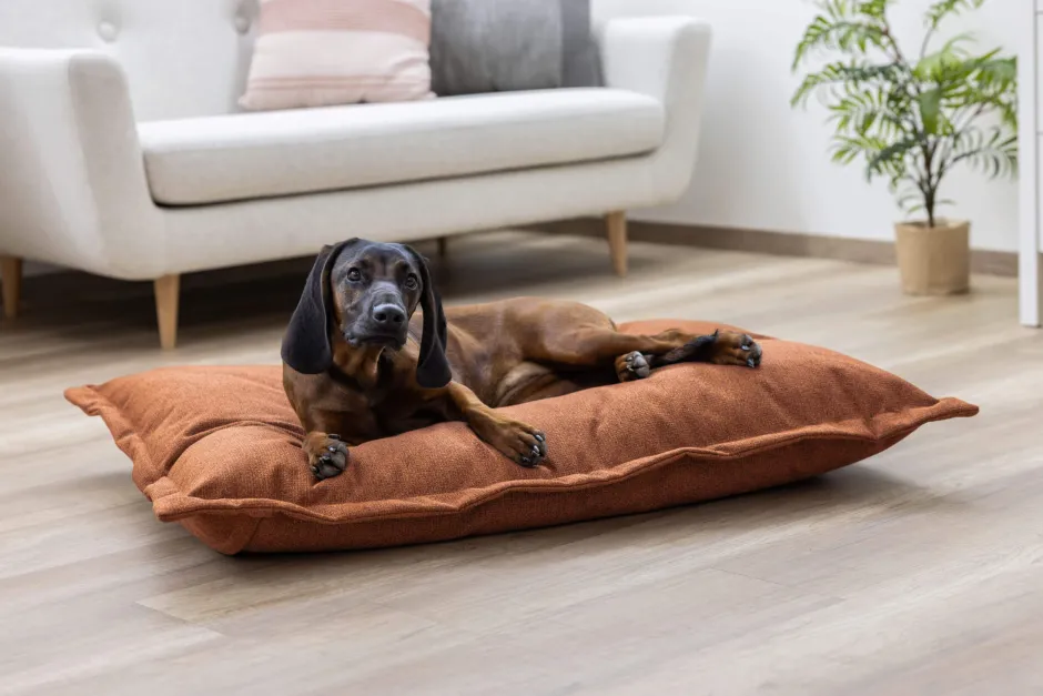 KERBL Kuschelsack Oliver