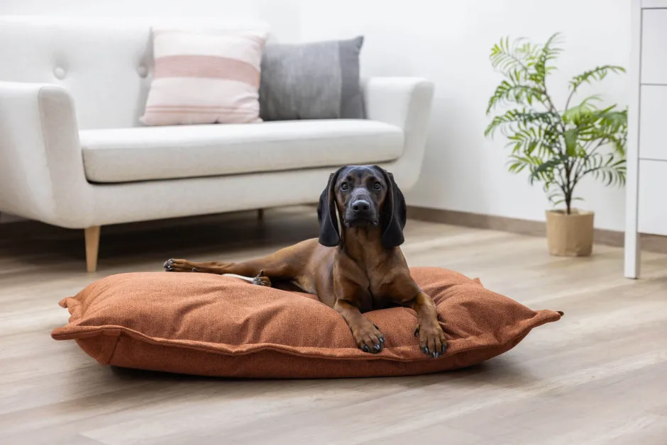 KERBL Kuschelsack Oliver