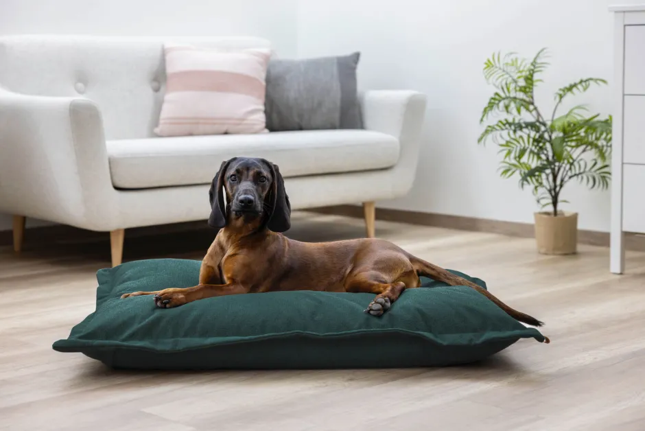 KERBL Kuschelsack Oliver