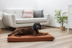 KERBL Memory-Foam Matratze Oliver
