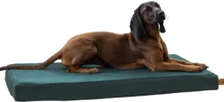 KERBL Memory-Foam Matratze Oliver