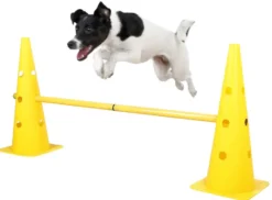 KERBL Pylonen-Hürden Set Agility