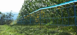KERBL Signalband für WolfNet, Länge 250 m, blau/weiß