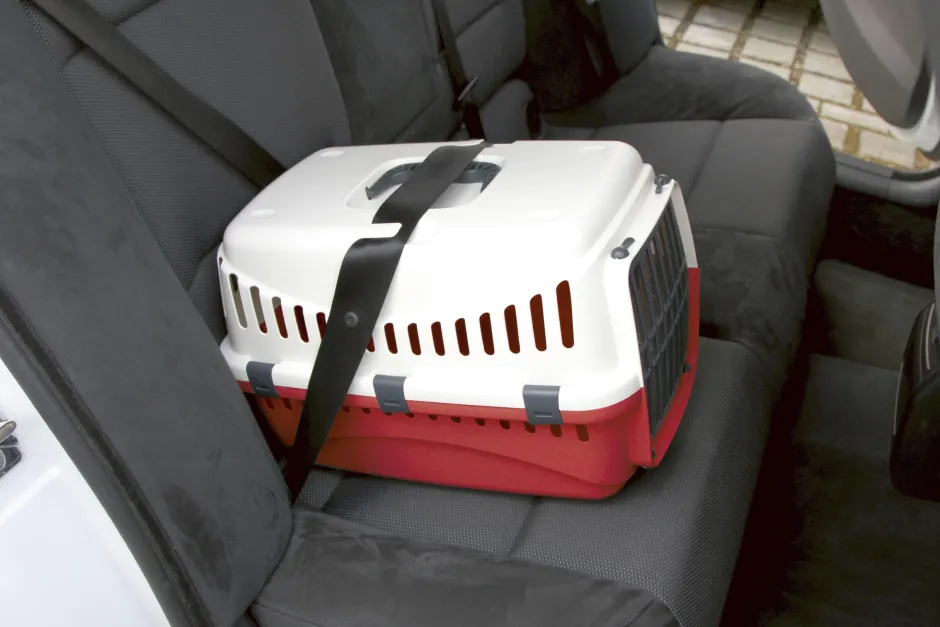KERBL Transportbox Expedition