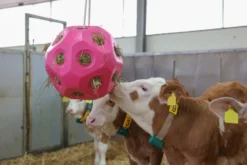 KERBL Futterspielball