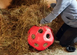 KERBL HeuBoy Futterspielball
