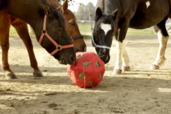 KERBL HeuBoy Futterspielball