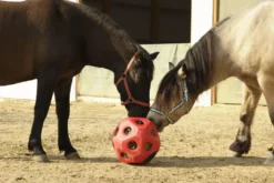 KERBL HeuBoy Futterspielball